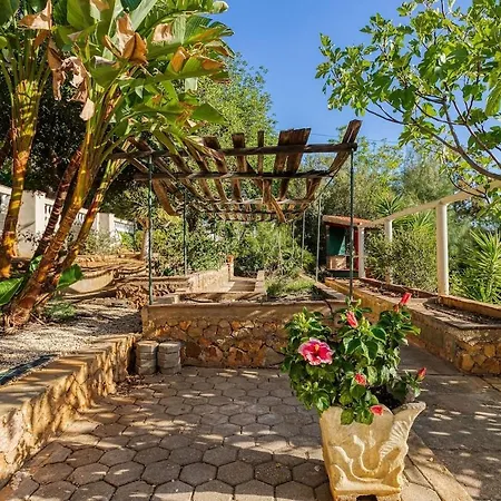 Apartment Bougainvillea