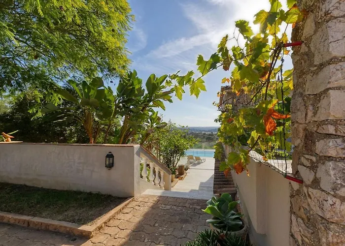 Bougainvillea Портиман